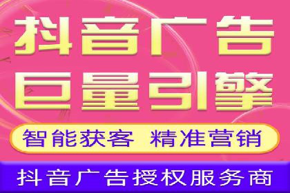 百度竞价广告运营全解析：成功案例揭秘